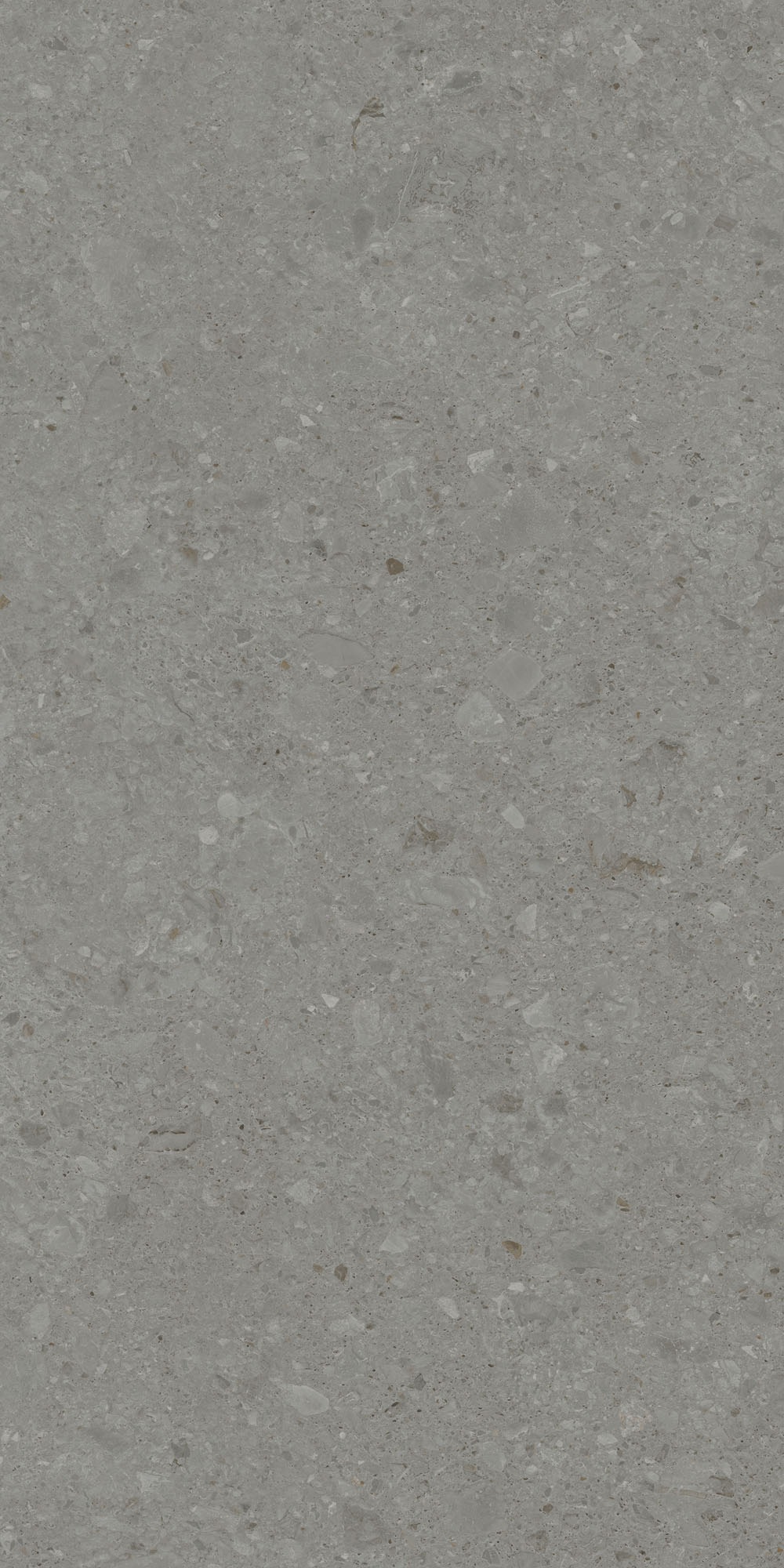 DD591500R На пол Чеппо ди Гре Серый тёмный матовый обрезной 119.5x238.5x1.1 - фото 8