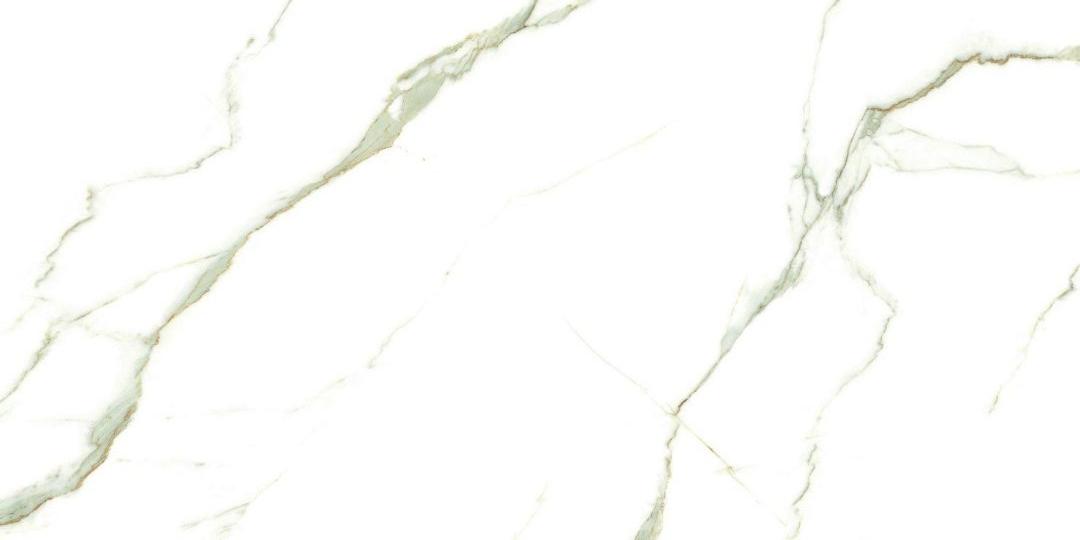 LE126063BS Напольный Bianco Carrara Classico Llamarada Rectificado 60х120 - фото 2