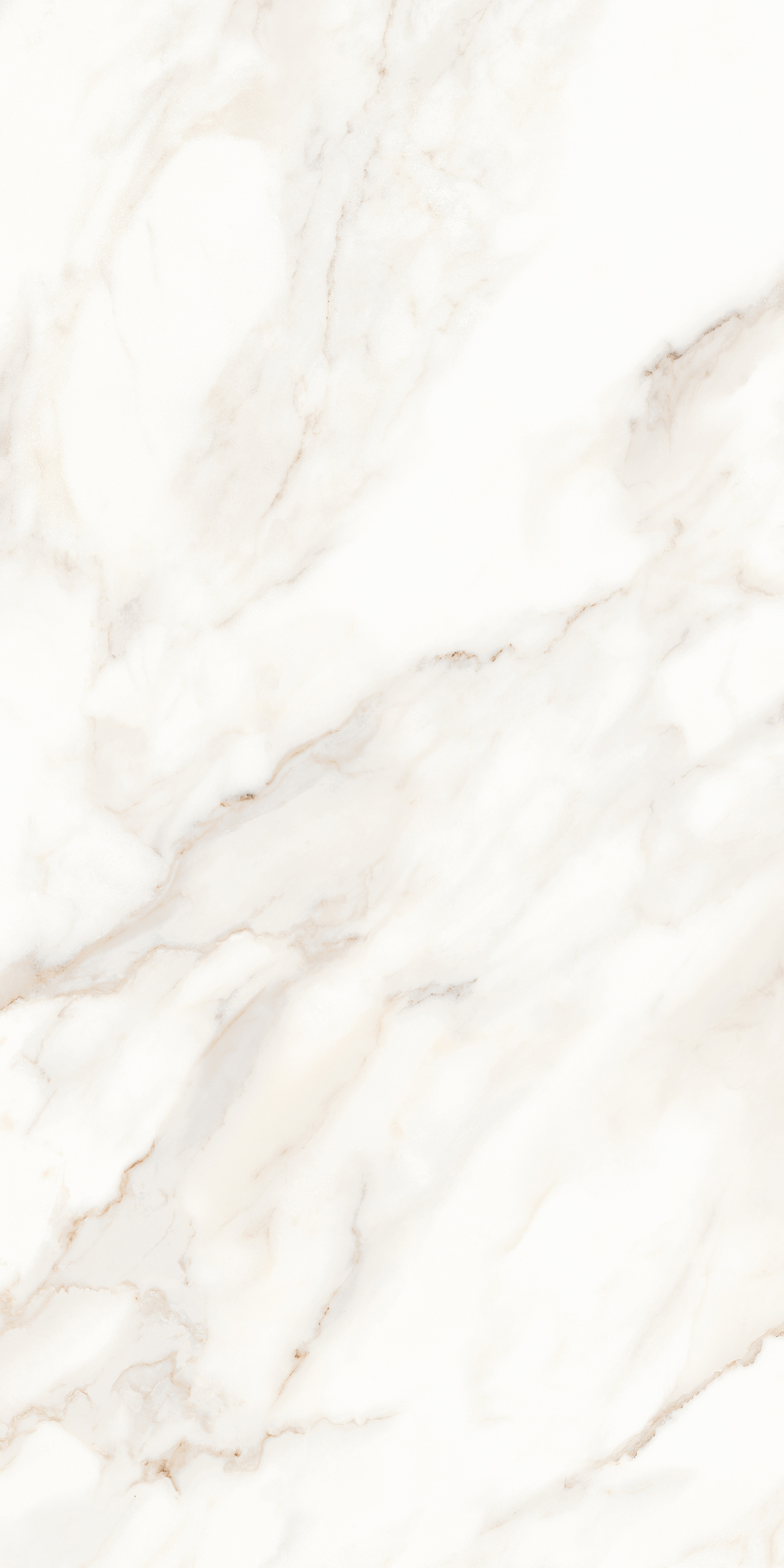 MPL-058622 На пол Calacatta Calacatta Satin 60x120 - фото 11