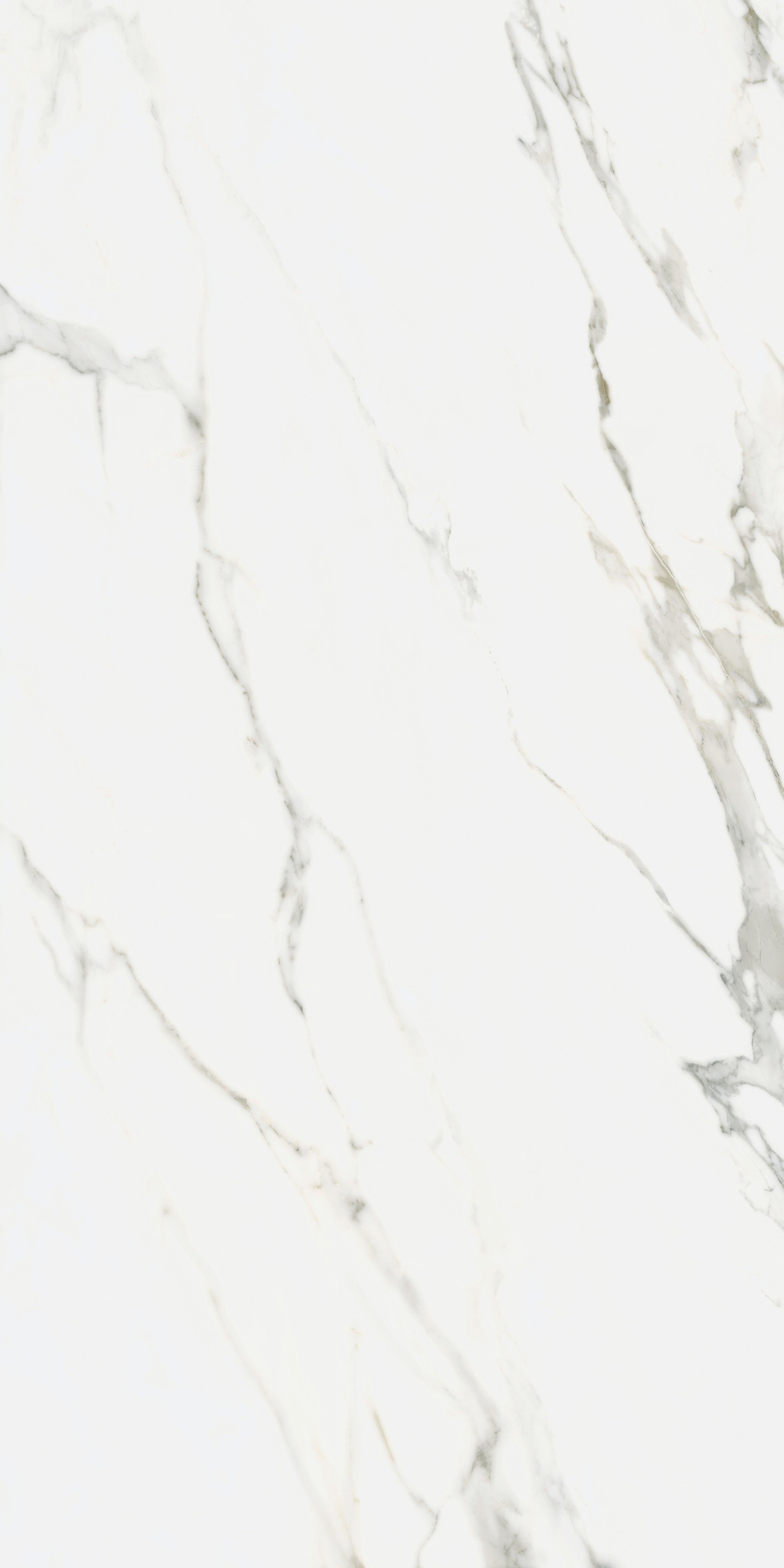 K951682R0001VTER На пол SilkMarble Калакатта Оро 60x120 - фото 11