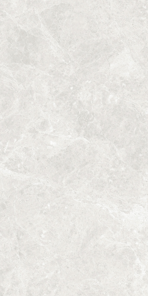 GT120604606PR На пол Korinthos Светло-серый PR 60x120 - фото 3