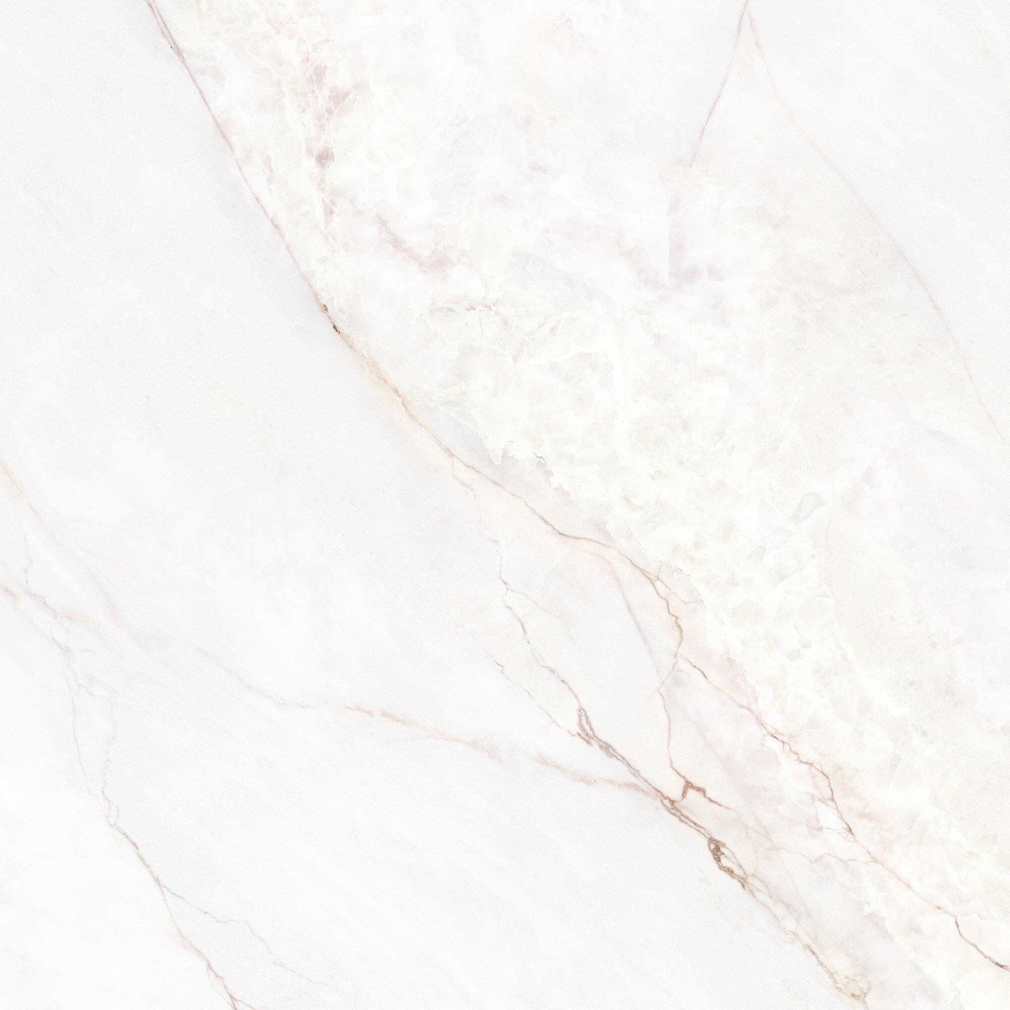 41431 На пол Museum Dahlia White SP/100X100X0.8/R 100x100 - фото 9