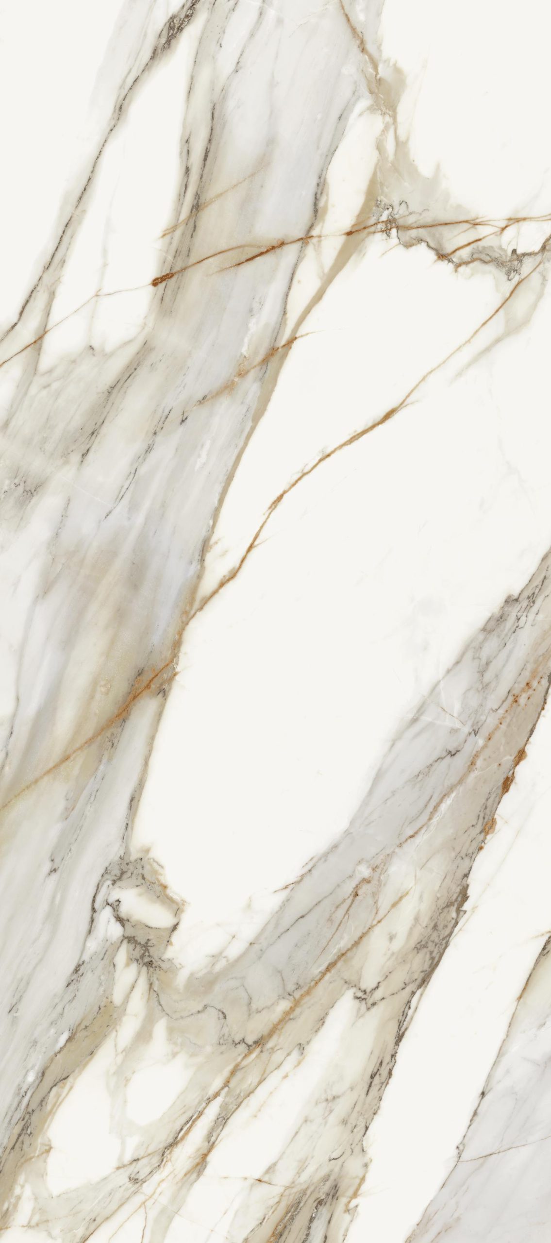 78MV08P На пол Macchia Vecchia Pulido 5.6mm 120x278