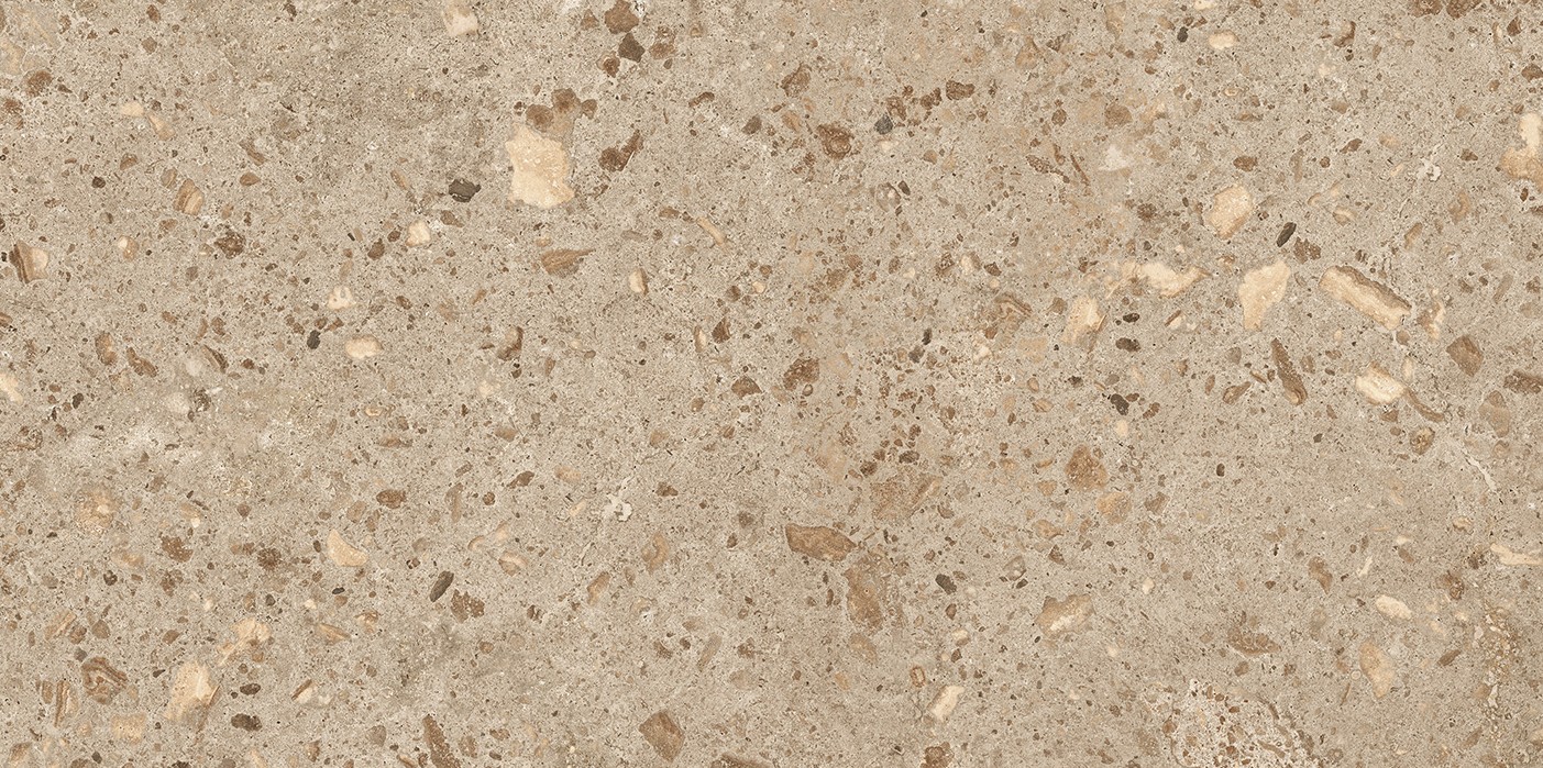 44BZP29 На пол Bierzo Moka Seda 60х120 - фото 2