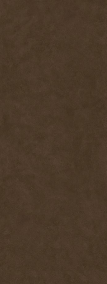 SG075900R6 На пол Майолика Коричневый обрезной 119.5x320x6