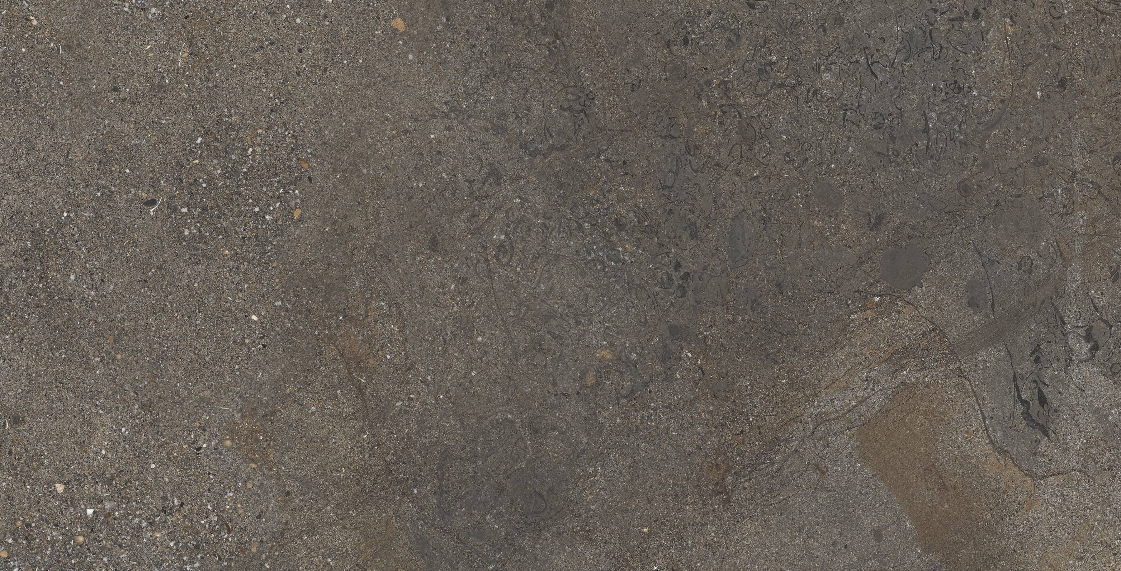 NTTHS99806D На пол Axion Cold Saturn 4D 60x120