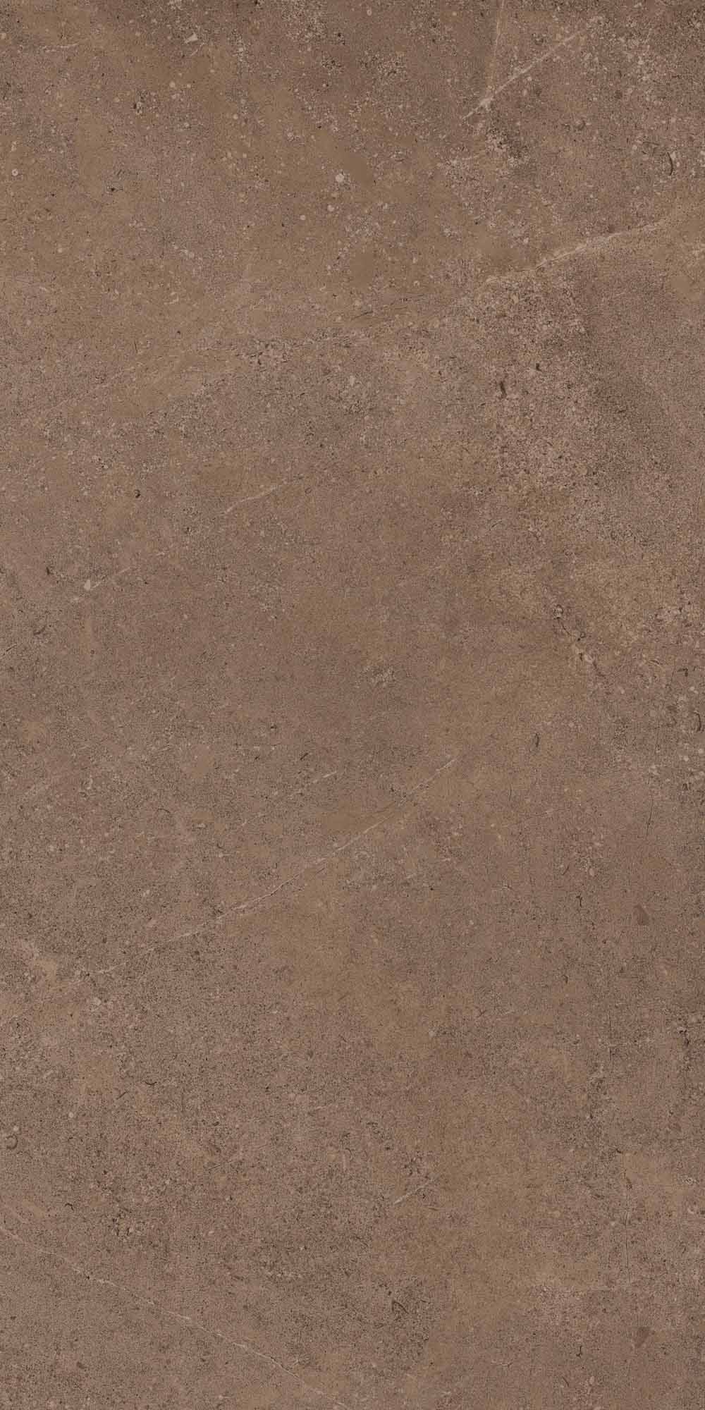 GO02/NS_R9/60x120x10R/GW На пол Gobi GO02 Dark Beige неполированный 60x120 - фото 2