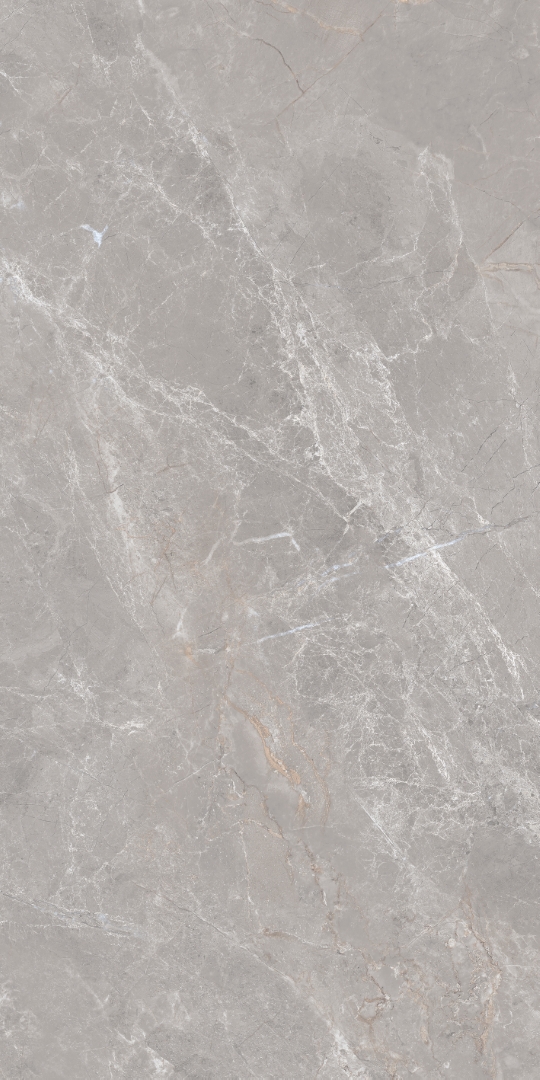 GT1206019601MDGR На пол Anatolia Серый матовый 60x120 - фото 4