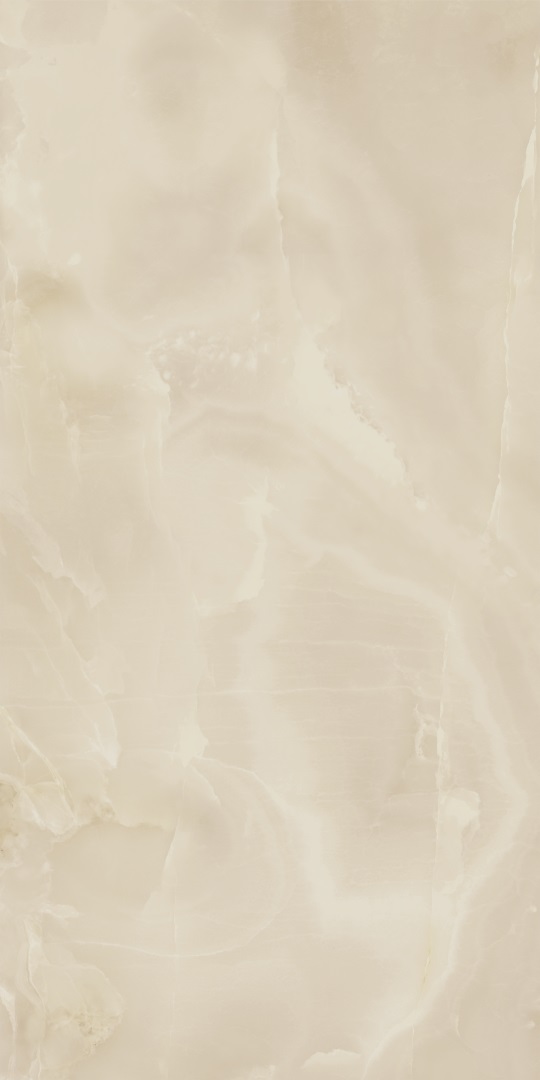 610015000404 На пол Charme Evo Floor Project Оникс 60x120 Люкс и Реттифицированный