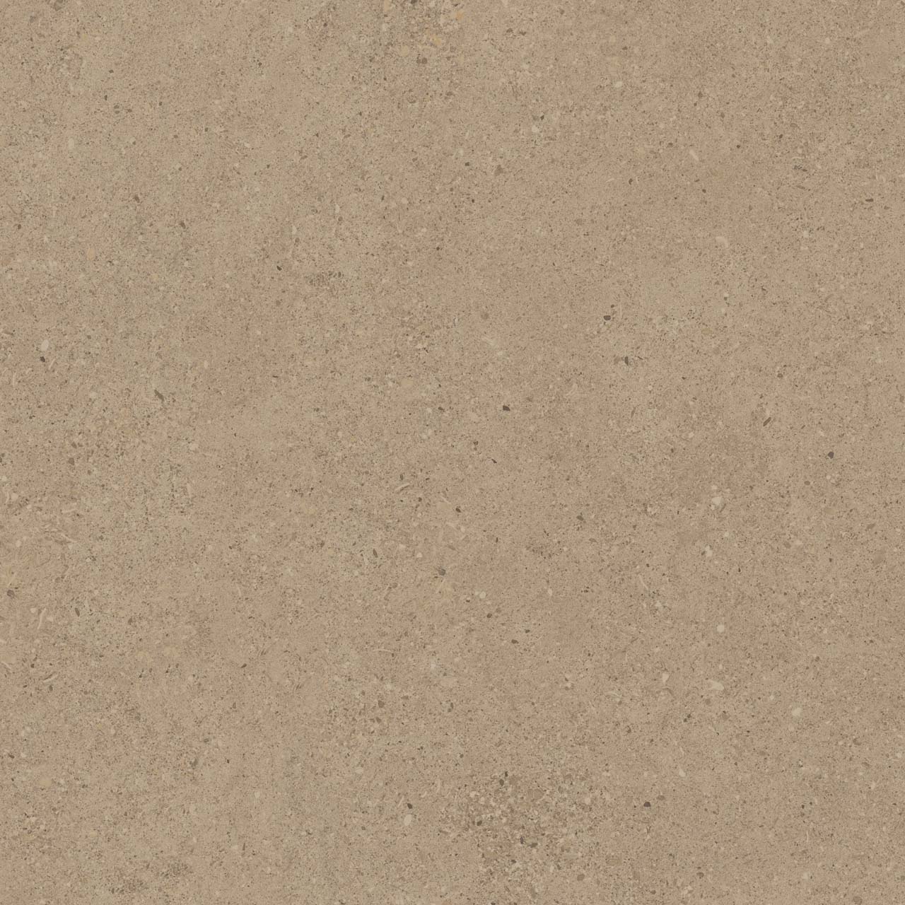 CE01/NR_R11/60x60x20R/GW На пол Спенс CE01 Темно-бежевый Структурированный Рект 60x60x20 - фото 4