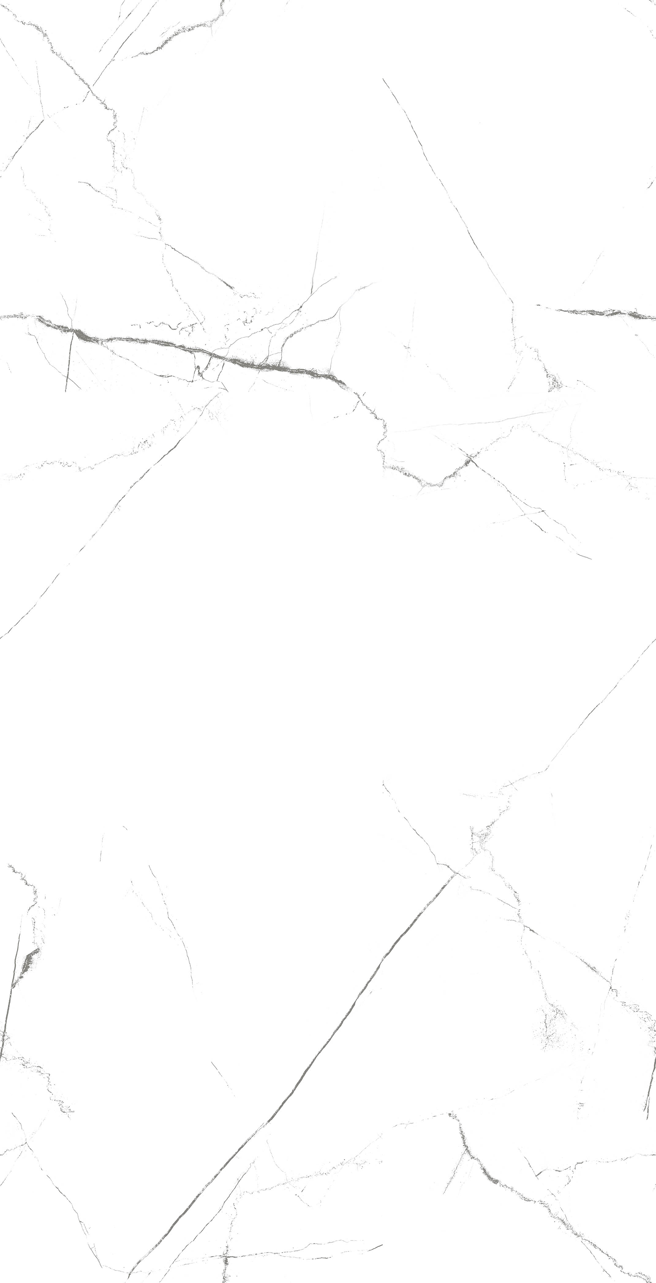 MOG101/PS_NC/60x120x9R/GW На пол Marble MOG101 White 120x60 Полированный Рект. - фото 3