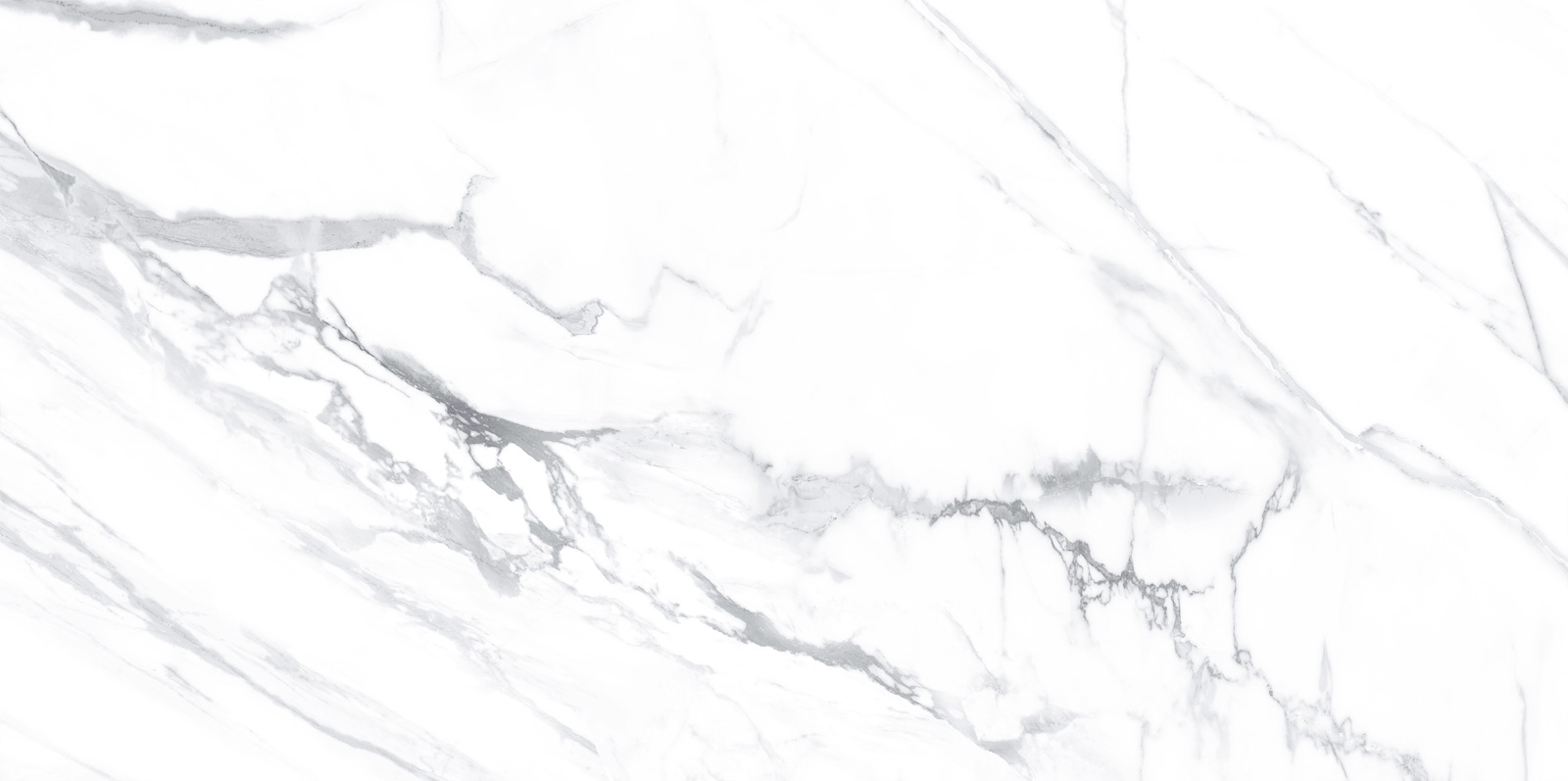 WT9LIM00 На стену Albion Calacatta Глянцевая - фото 8