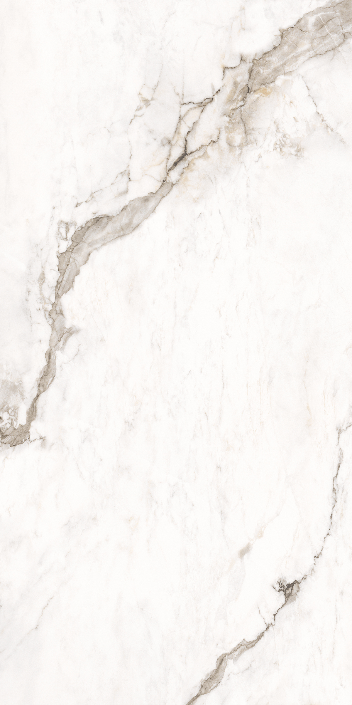 884  На пол Marble 5.5mm Amalfi White 120x60 - фото 4