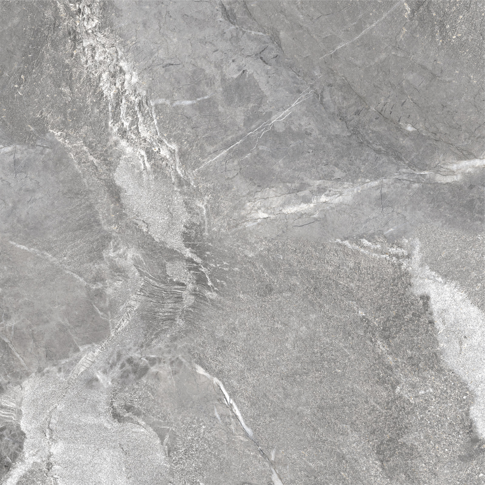 D60260M На пол Wild Dark матовый 600x600x9.5 - фото 2