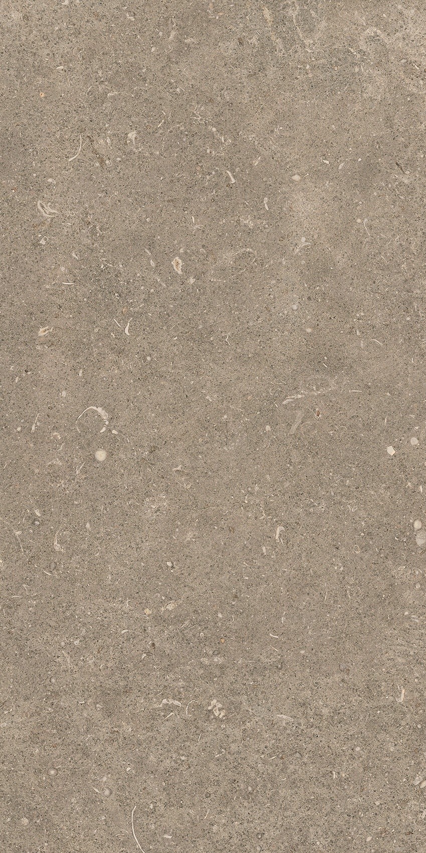 785502 На пол Rinascenza Arena Pietra Grip 30x60 - фото 4