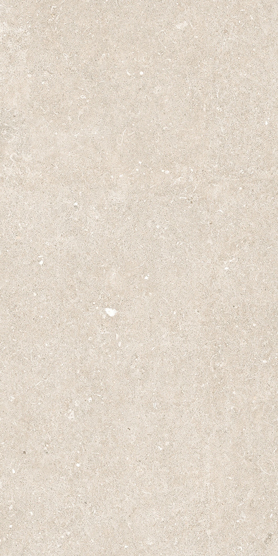 785574 На пол Rinascenza Arena Bianco Antico Matte 6mm 60x120 - фото 6