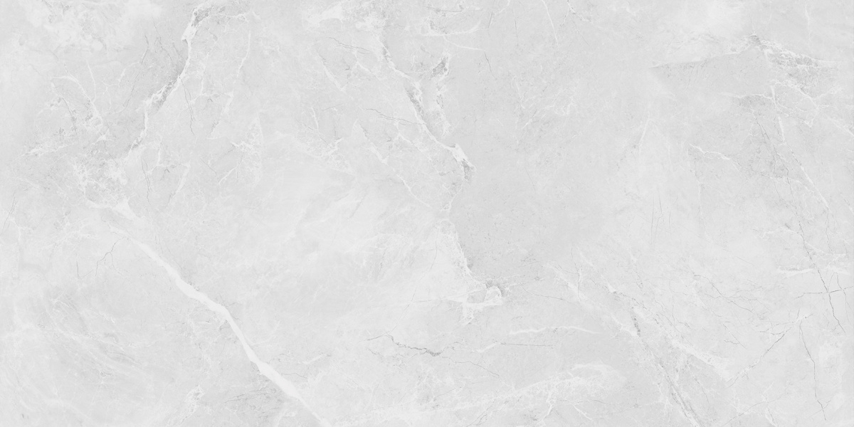 LP6012G0231R  На пол Berna Silver светло-серый матовый 59.5х119.1 - фото 3