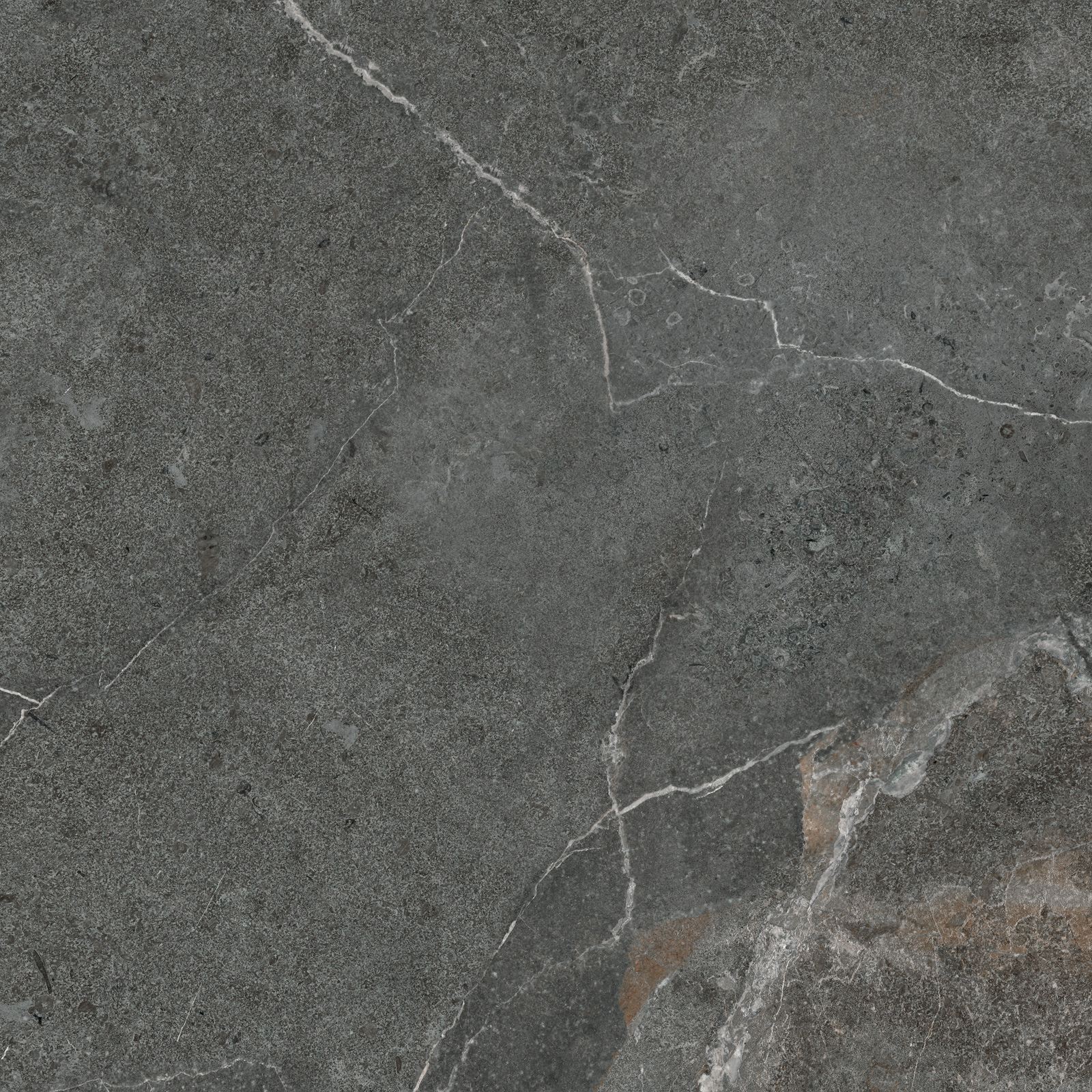 GP6060TIA25M На пол Titanium Graphite матовый 600x600x9.5 - фото 14