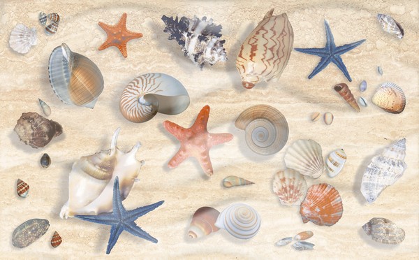 07-00-5-10-10-11-120 Декор Аликанте Dec. Ракушки