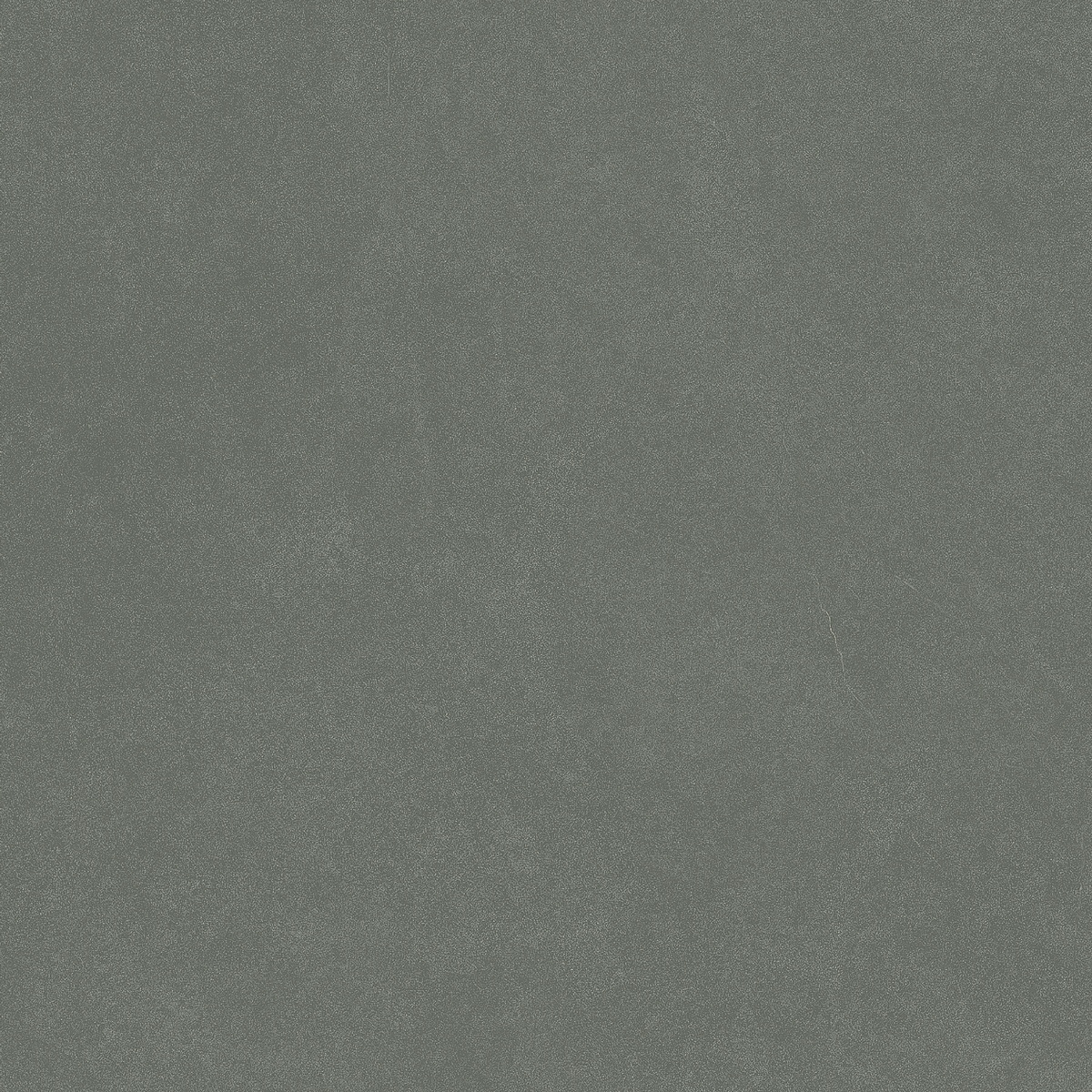 На пол Monotone Juniper Matt 20x20 - фото 5