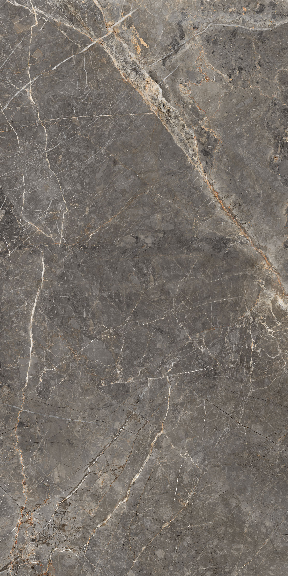 GT1206023109MGR На пол Salsa Темно-серый 60x120 - фото 7