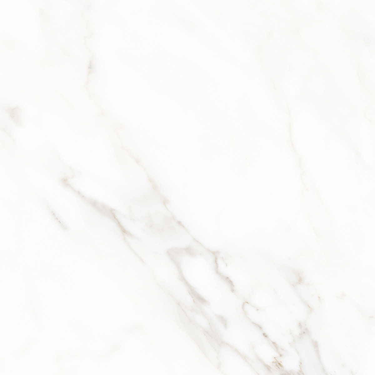 K952677LPR01LPER На пол Calacatta Michael Белый матовый 60х60 - фото 2