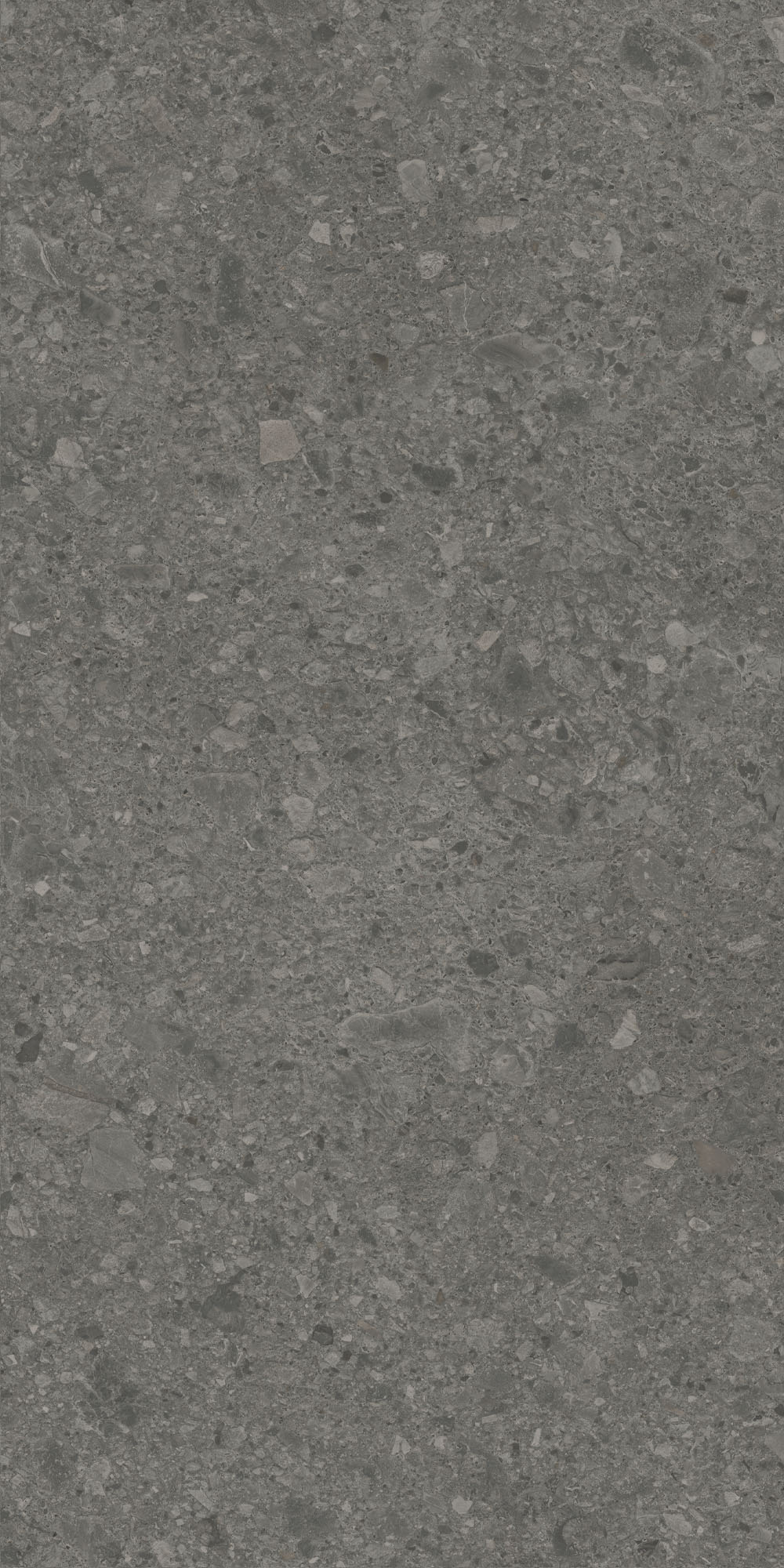 DD508020R На пол Чеппо ди Гре Антрацит матовый обрезной 60x119.5x0.9 - фото 2