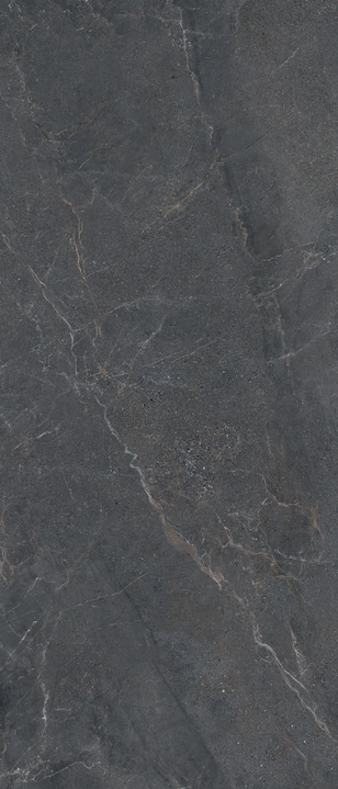 LS6AL50 На пол Anthology Slimtech 05 Dark Nat. RT 6mm 120x278 - фото 4