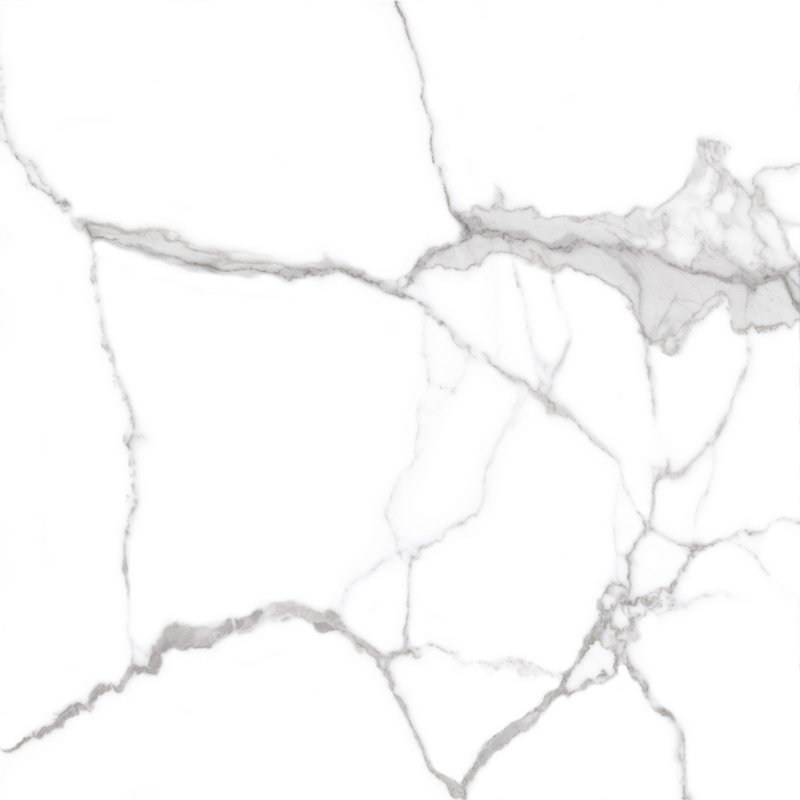 GT606010403MR На пол Oasis Белый MR 60x60 - фото 8