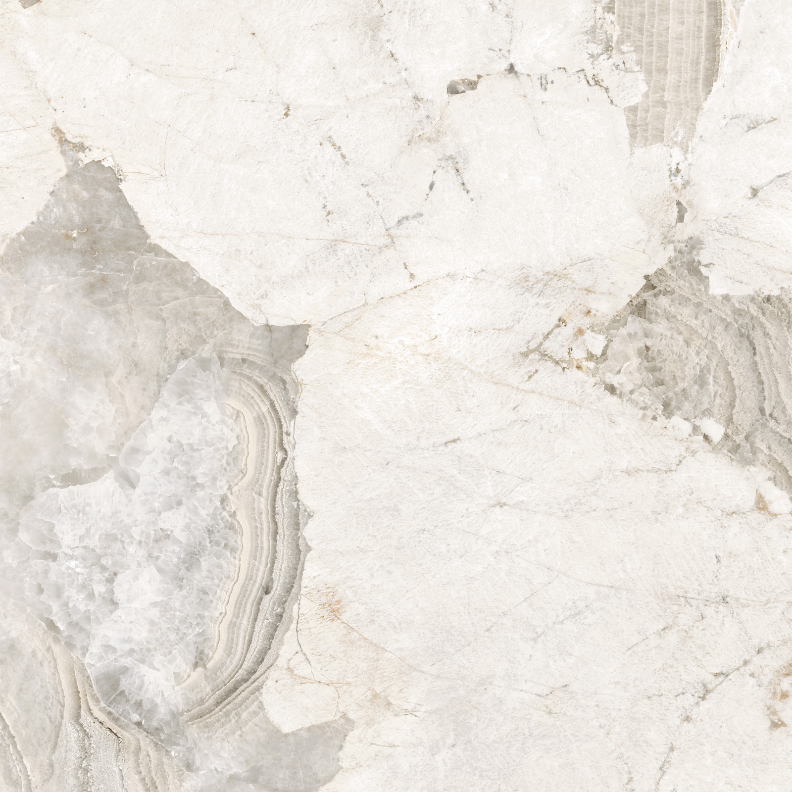 D60256М На пол Seashell Матовый 600x600x9.5 - фото 12