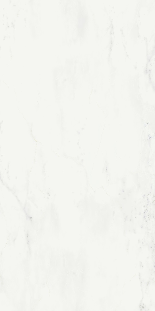 610010001920 На пол Charme Deluxe Bianco Michelangelo 80x160 - фото 4