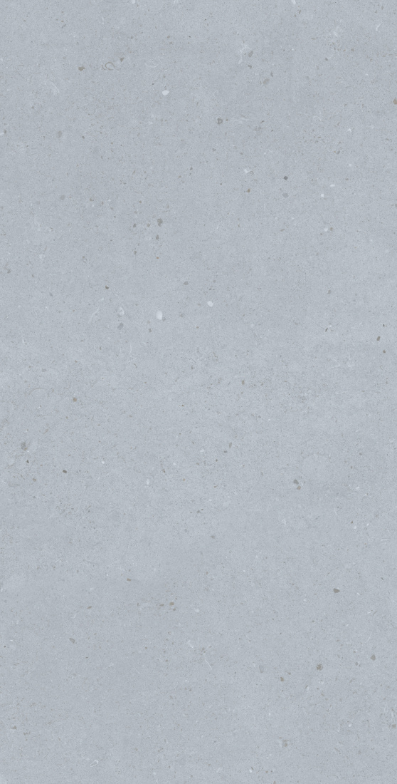 На пол Artis Silver Carving 60x120