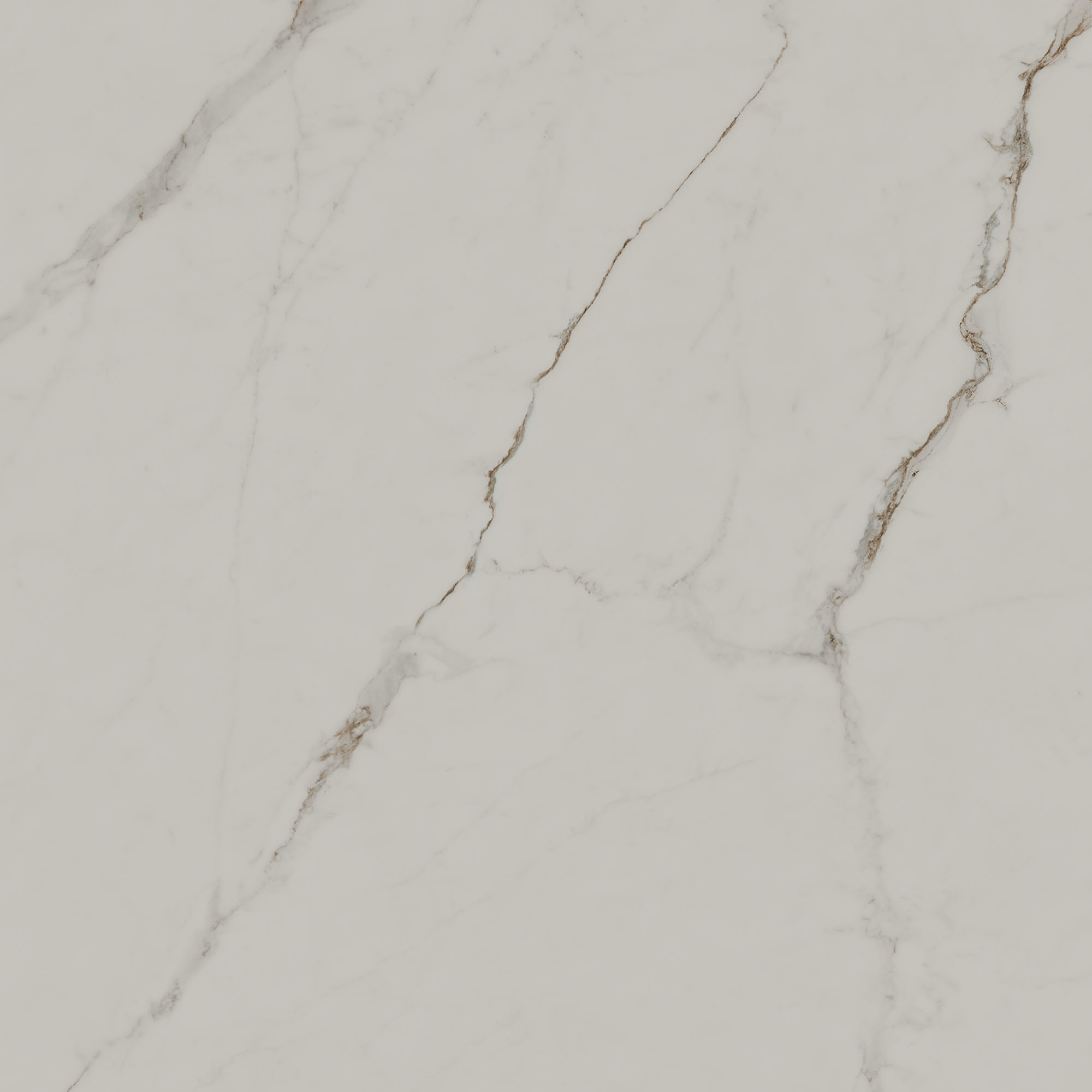 SG850090R На пол Монте Тиберио Бежевый светлый матовый обрезной 80x80x0.9 - фото 2