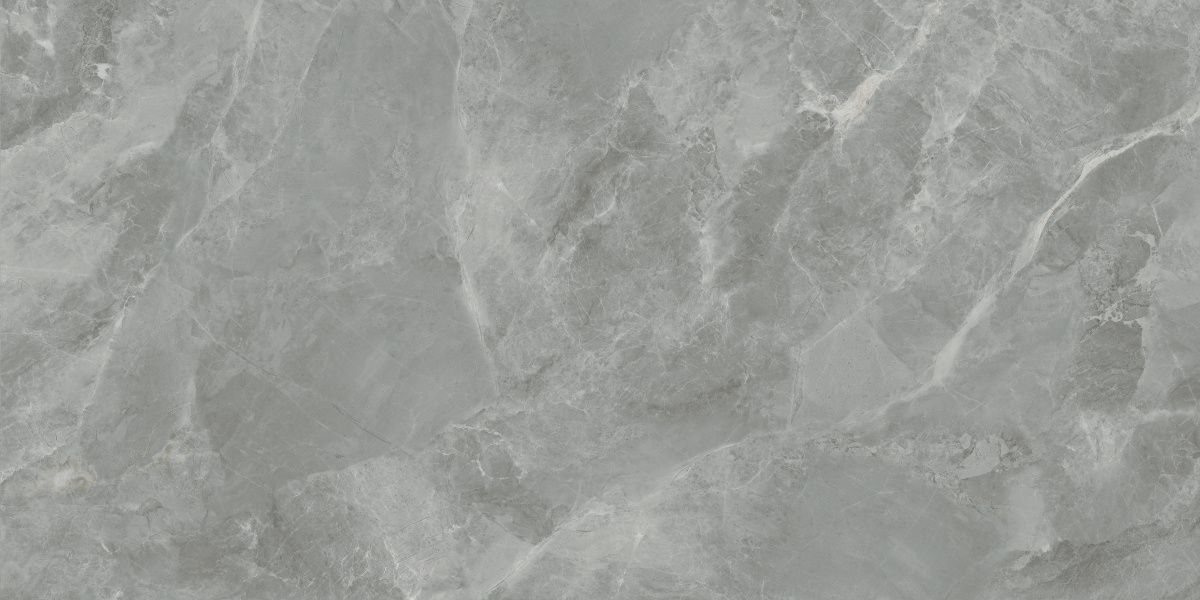 CR6012G0411R На пол Regnum Grigio серый матовый 59.5х119.1 - фото 5