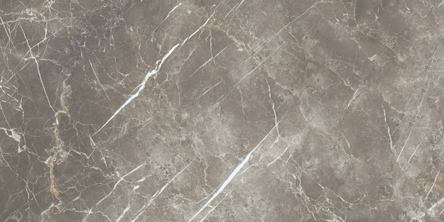 ECC2 На пол Elements Lux Persian Grey Silk RT 60x120 - фото 8