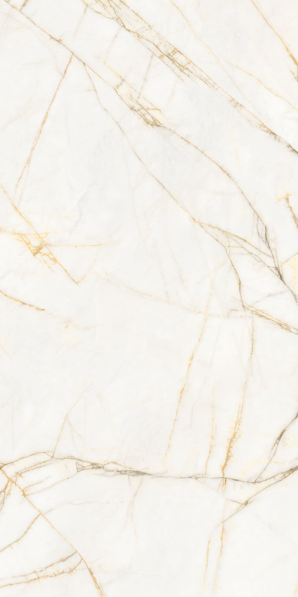 PF60017518 На пол Supreme Hedonism Golden Spider Nat R 60x120 - фото 3