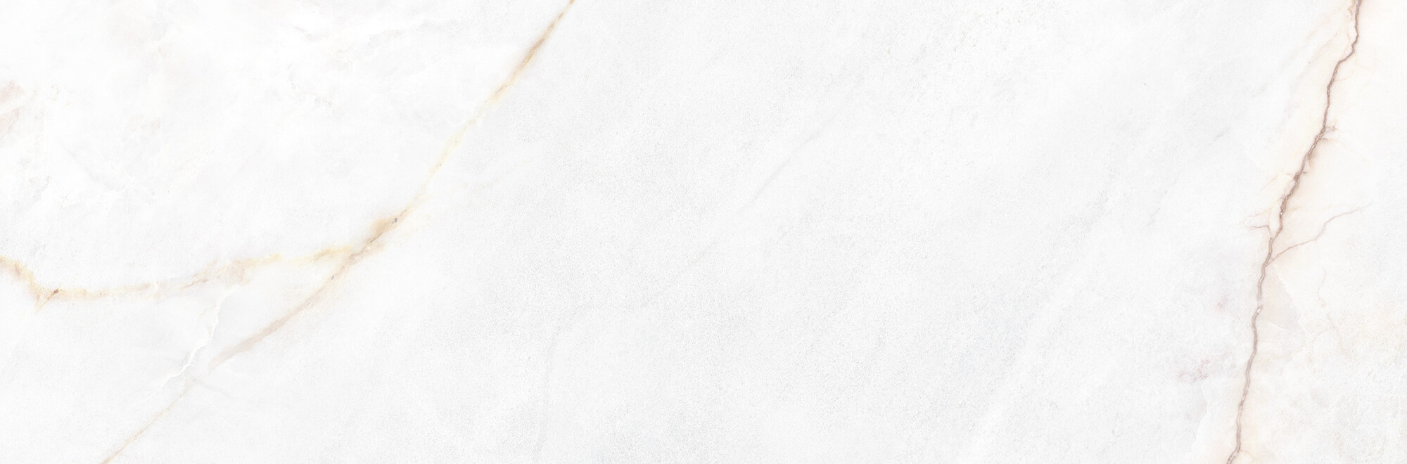 39500 На стену Museum Dahlia White SP/33.3X100/R 33.3x100 - фото 4