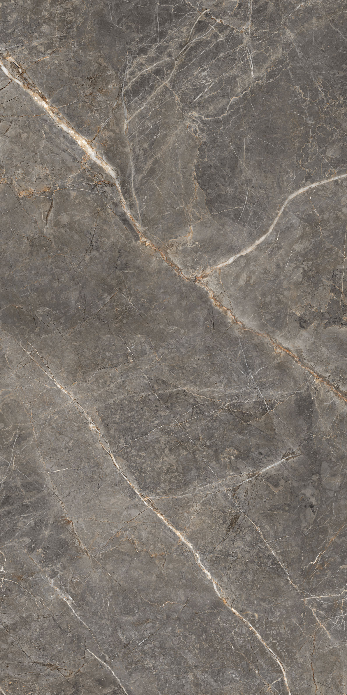 GT1206023109MGR На пол Salsa Темно-серый 60x120 - фото 10