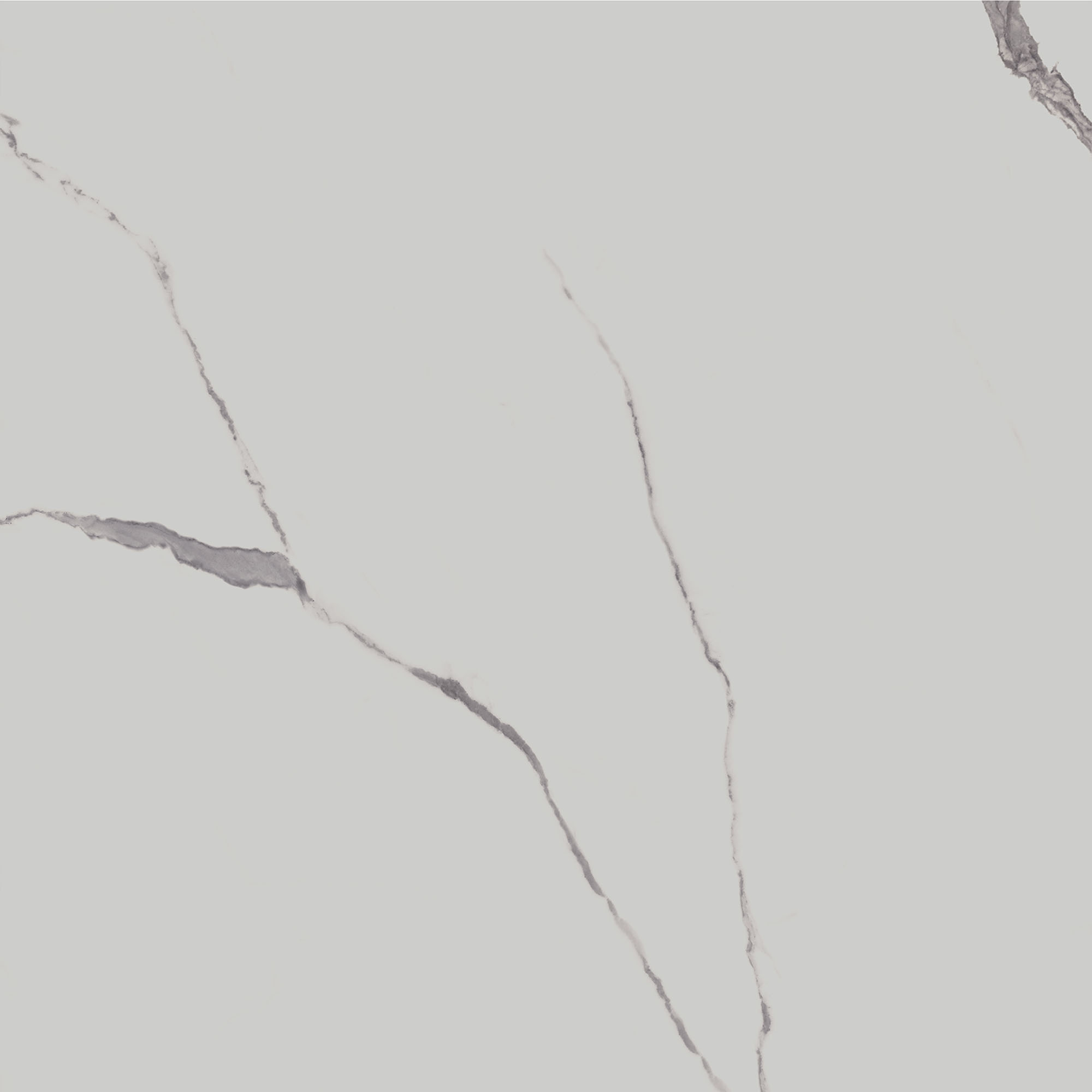 SG849990R Напольный Монте Тиберио Белый матовый обрезной 80x80x0.9 - фото 7