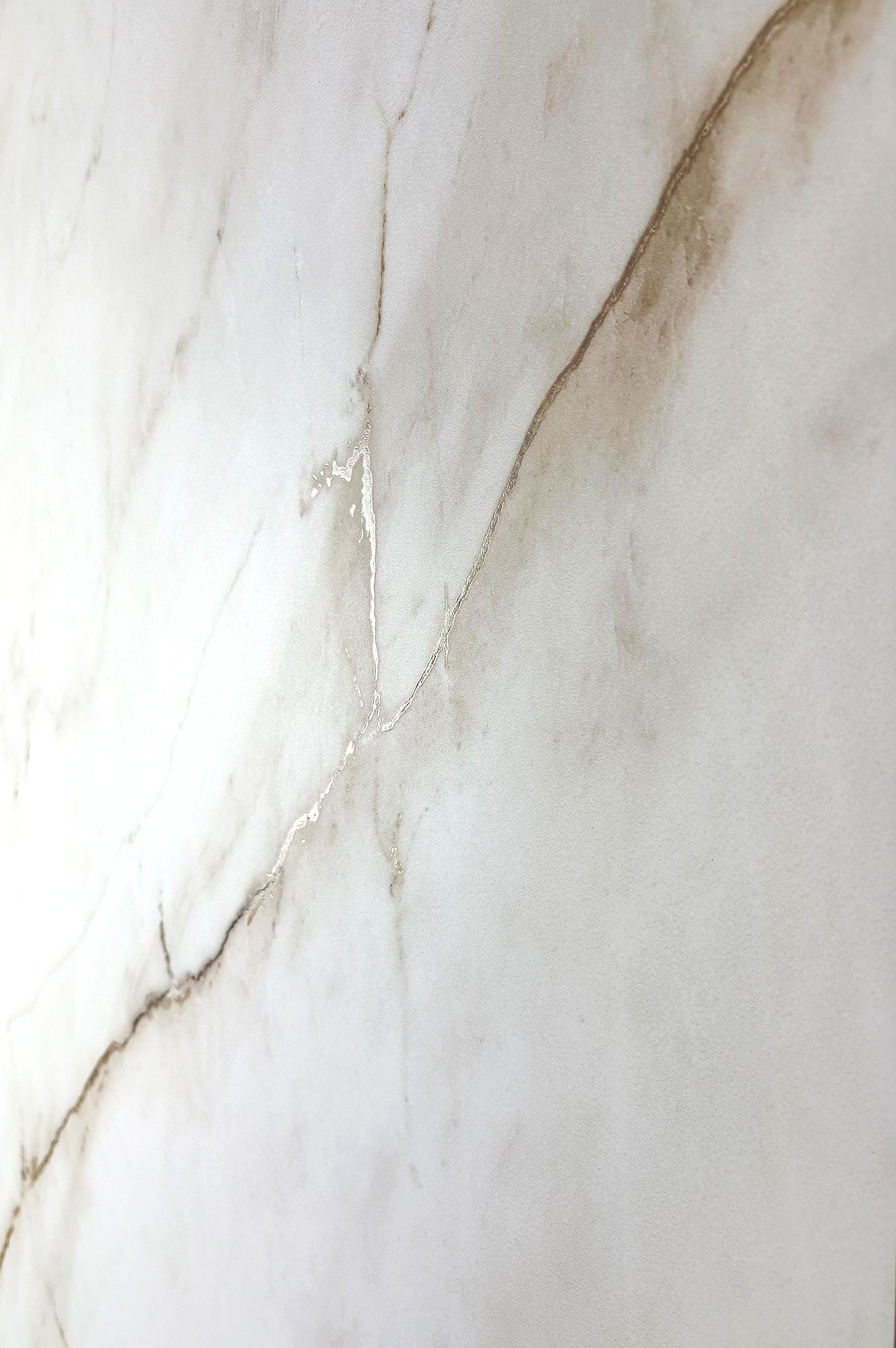 Creanza Selva - фото 3