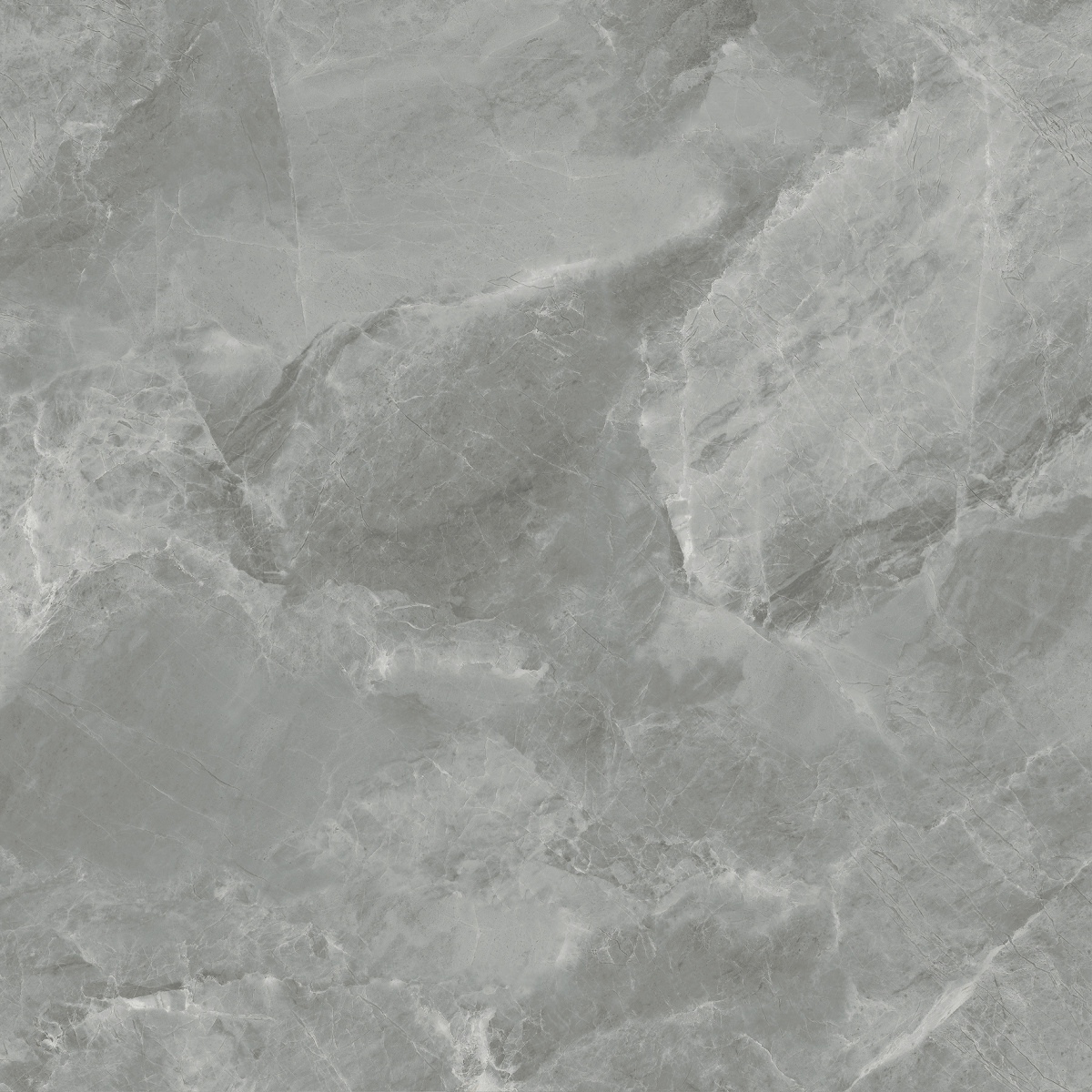 CR6060G0401R На пол Regnum Grigio серый матовый 59.5х59.5 - фото 6