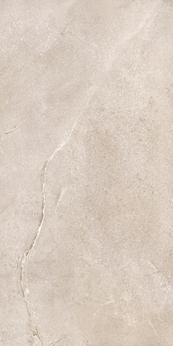 DNWS201 На пол New Stone Daino 60x120 - фото 6