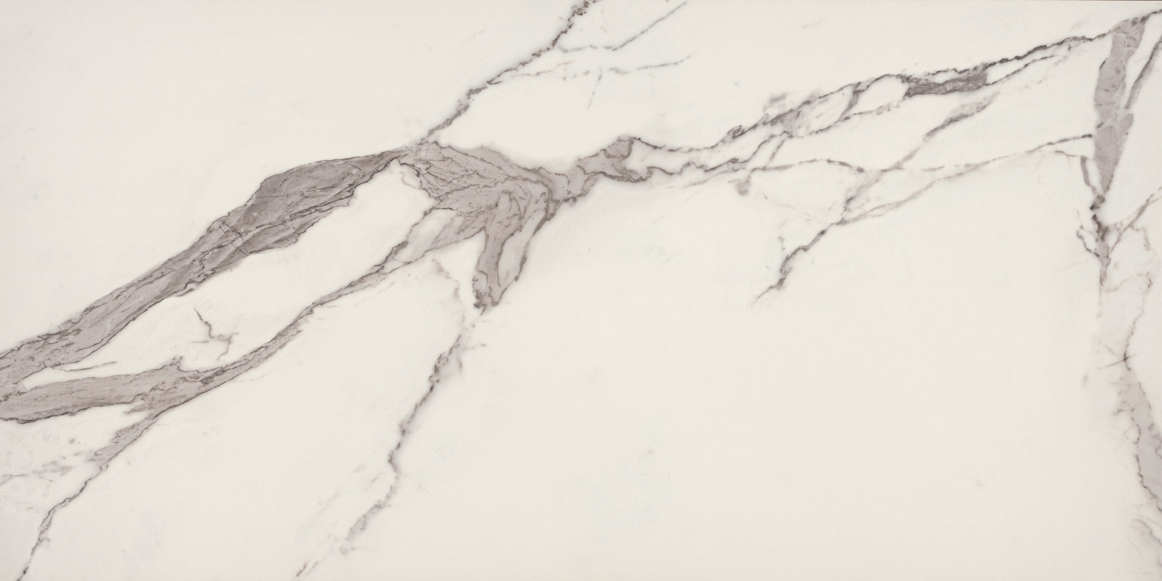 BIEN0003 На пол Zenith Zenith Rec Full Lap