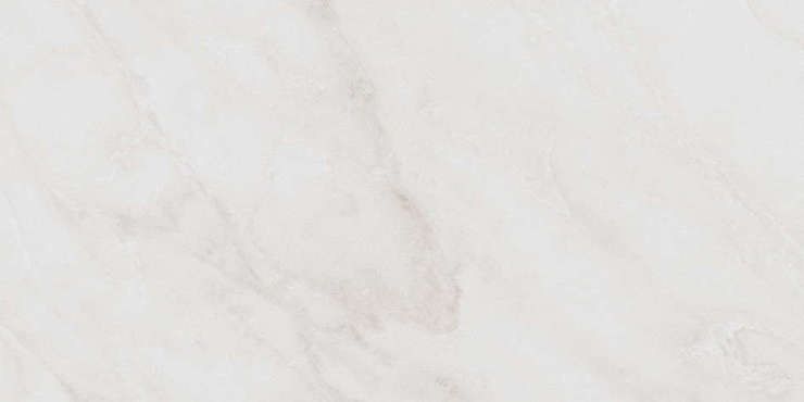 SG810092R На пол Парнас Светлый лаппатированный обрезной 40х80