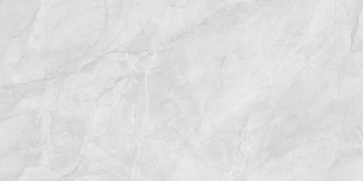 LP6012G0231R  На пол Berna Silver светло-серый матовый 59.5х119.1 - фото 7