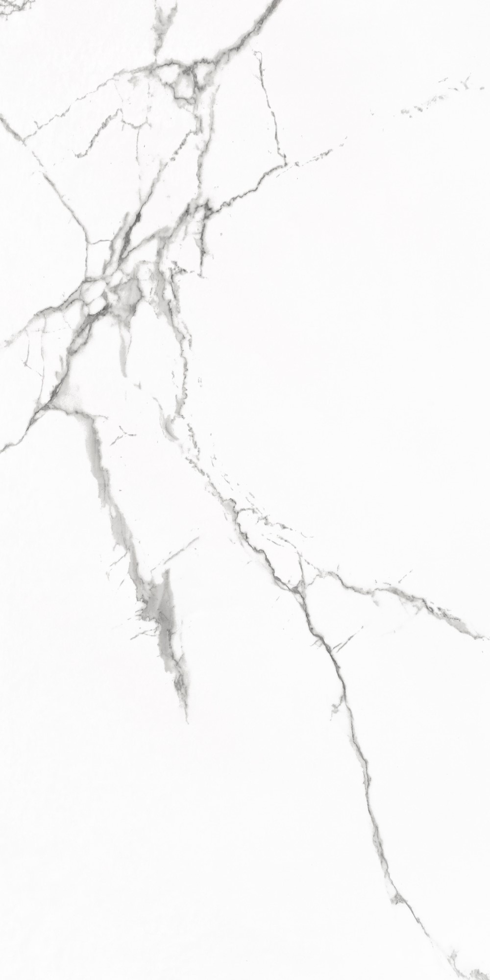 58660 На пол Statuario Venato Polished 60x120