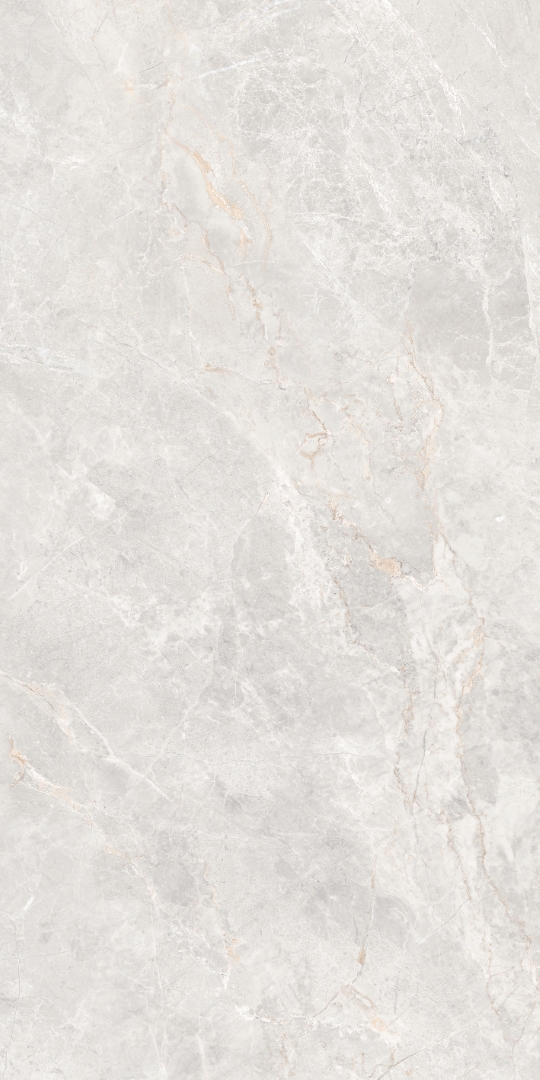 GT1206019606MDGR На пол Anatolia Светло-серый матовый 60x120 - фото 4