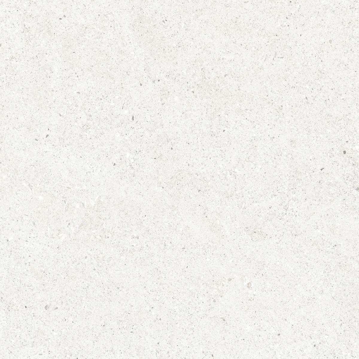 CR6060G0471R На пол Perla Bianco светло-серый матовый 59.5х59.5