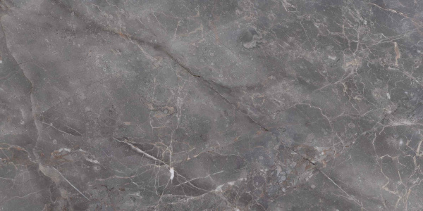 7170 На пол Marble Elite Grey Polished 60x120 - фото 3