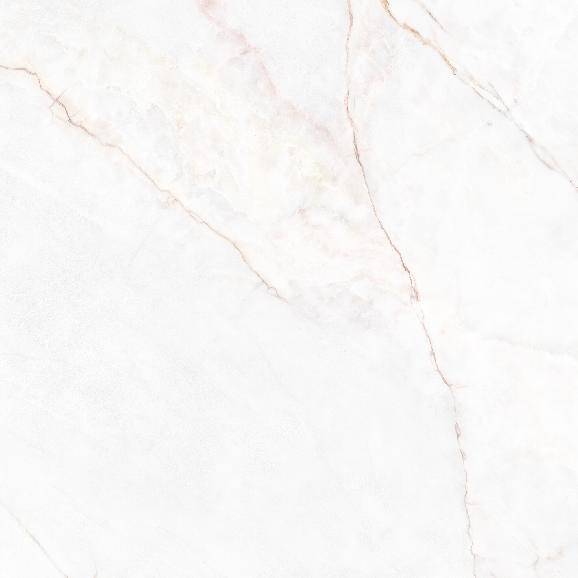 41431 На пол Museum Dahlia White SP/100X100X0.8/R 100x100 - фото 20